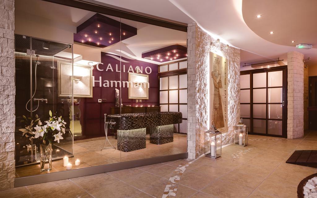 Willa Spa Scaliano Kudowa-Zdrój Extérieur photo